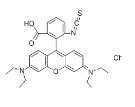 罗丹明B异硫氰酸酯/cas36877-69-7/RBITC荧光试剂