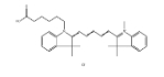 cy5单体cy5羧基；1032678-07-1